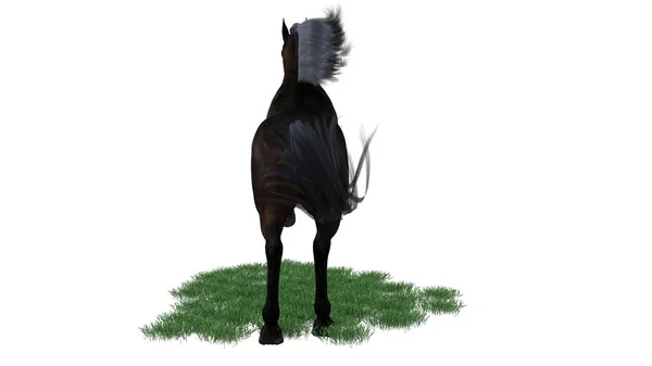 Рыцарский Конь Рендеринг — стоковое фото
