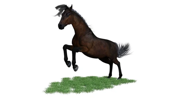 Рыцарский Конь Рендеринг — стоковое фото