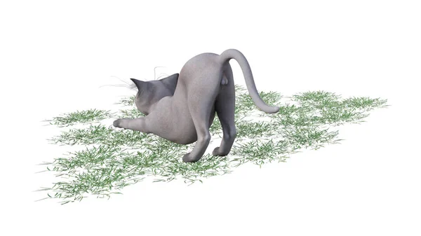 Иллюстрация Смешной Кошки — стоковое фото