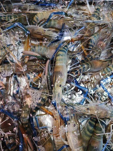 해산물 시장에는 생수를 바닷가재가 요리가 — 스톡 사진