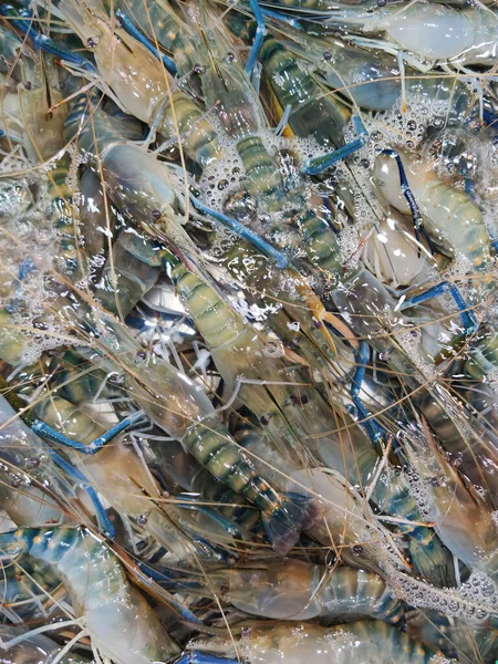 해산물 시장에는 생수를 바닷가재가 요리가 — 스톡 사진
