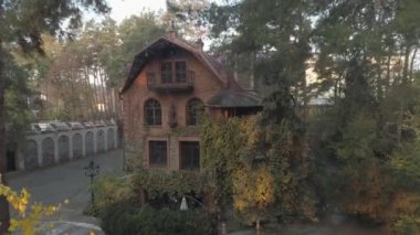 Ormanda manzaralı bir kulübe. Hava aracı görünümü.