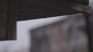 Ukrayna 'daki Ruslar tarafından yok edilen Kyiv yakınlarındaki bir yerleşim yeri. Vyshgorod kasabası