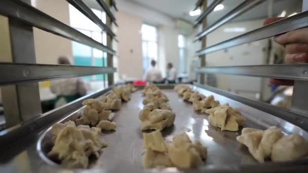 Kijów Ukraina Stycznia 2023 Produkcja Żywności Sterylizowanej Półka Metalowa Mięsem — Wideo stockowe