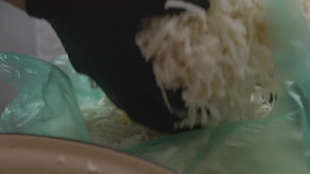 여자가 양배추를 자루에 넣는다 — 비디오