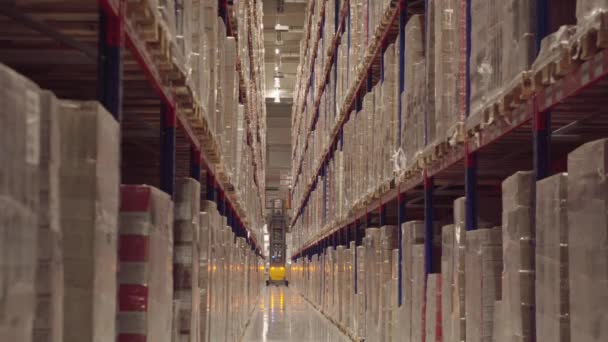 2022年9月 美国纽约 配送中心 工业仓库内有一排排装有箱子的货架 — 图库视频影像