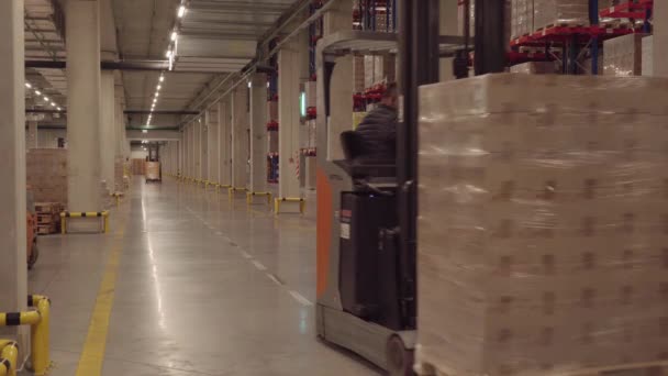 2022年9月 美国纽约 配送中心 工业仓库内有一排排装有箱子的货架 — 图库视频影像