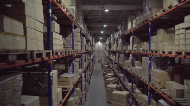 Rangées Étagères Intérieur Entrepôt Industriel Avec Boîtes — Video