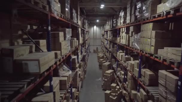 Regalreihen Innerhalb Eines Industrielagers Mit Boxen — Stockvideo