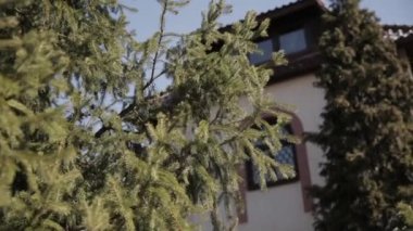 Ukrayna 'nın Kyiv banliyösündeki modern kulübe 