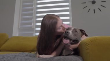 Amerikalı Staffordshire Terrier 'ini öpen bir kadın. Yavaş çekim 
