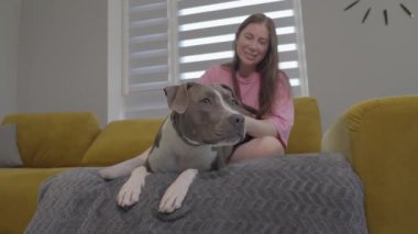 Kadın evinde Amerikan Staffordshire Terrier 'ini okşuyor. Yavaş çekim