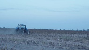 Şeker kamışı tarlasında çalışan traktör