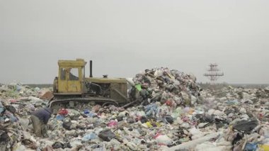  Yiyecek arayışında olan çöplük. Arka plandaki şehir