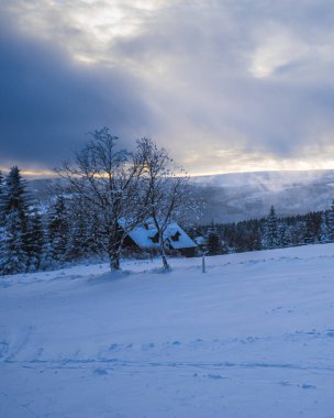 Magical winter scenery with frozen trees covered with white snow. Fantasy atmosphere at early sunrise on Bohemia mountains. 