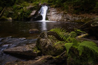 Çek Cumhuriyeti 'nin Jizera dağlarının derinliklerinde gizlenmiş inanılmaz şelale. Şelale nehrinde akan suyla sakin ve huzurlu bir yer..
