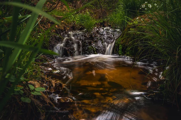Pequena Cachoeira Escondida Fundo Floresta Região Central Boêmia República Tcheca — Fotografia de Stock