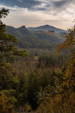 İsviçre 'deki Bohemian Ulusal Parkı' ndaki muhteşem ve derin ormanlara harika ve romantik bir manzara. Orta Avrupa 'da eşsiz ormanlar ve kayalar.
