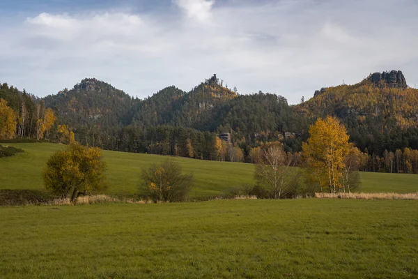 Wspaniały Romantyczny Widok Niesamowite Głębokie Lasy Parku Narodowym Czeska Szwajcaria — Zdjęcie stockowe