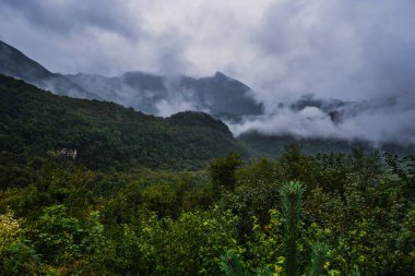 Sisli dağlar ve orman manzarası atmosferik gündoğumu sırasında Triglavski ulusal parkının en iyi mistik atmosferiyle, Slovenya, Avrupa.