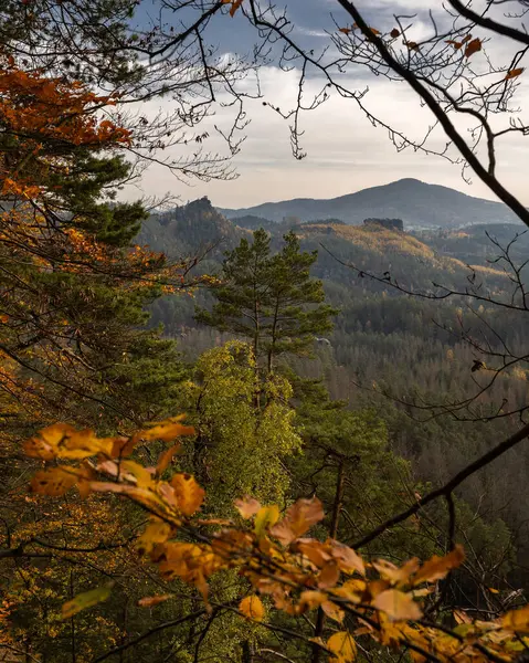 Krásný Romantický Výhled Úžasné Hluboké Lesy Národním Parku České Švýcarsko — Stock fotografie