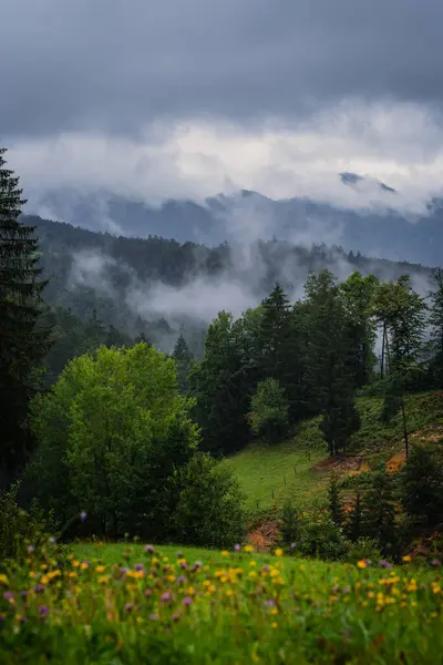 トリグラフスキー国立公園 スロベニア ヨーロッパで最高の神秘的な雰囲気と大気の日の出の間に霧の山と森の風景 — ストック写真