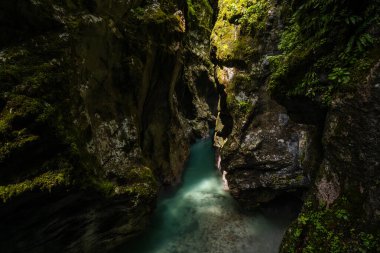 Slovenya 'daki Tolminska Korita Milli Parkı' ndaki orman ve kayaların derinliklerine gizlenmiş saf ve vahşi nehrin inanılmaz doğası ve güzelliği.