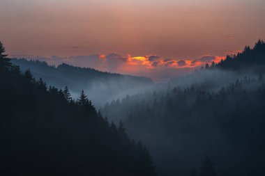 Bohemya 'nın derinliklerindeki ormanda destansı bir gün doğumu. Güneşin ufuktan yükselip tüm gökyüzünü renklendirdiği ne kadar sakin ve huzurlu bir an..