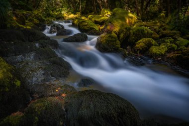 Slovenya 'daki Triglav Ulusal Parkı' nın inanılmaz vahşi ve saf doğasında hızlı nehir..