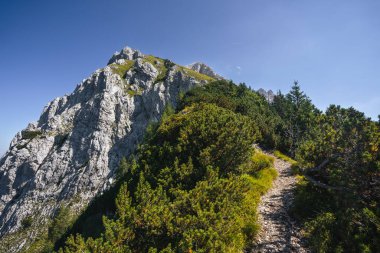 Slovenya 'daki Triglav Ulusal Parkı' nın derinliklerindeki devasa dağların büyüleyici manzarası.