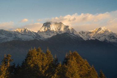 Himalaya, Nepal 'deki Poon Hill' den panoramik gündoğumu manzarası, Tukuche Peak ve Gurja Himal 'in de aralarında bulunduğu Dhaulagiri' nin kar kaplı tepelerini gözler önüne seriyor..