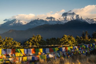Himalaya, Nepal 'deki Poon Hill' den panoramik gündoğumu manzarası, Tukuche Peak ve Gurja Himal 'in de aralarında bulunduğu Dhaulagiri' nin kar kaplı tepelerini gözler önüne seriyor..