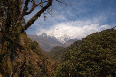 Güney Annapurna 'nın karlı zirvesinin nefes kesen manzarası bulutlar Nepal' deki büyük Himalayalar 'daki dağları usulca sardığında.