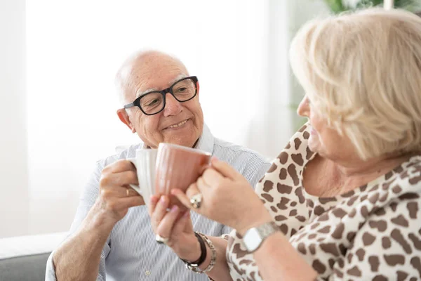 Yaşlı çift evde rahatlıyor ve kahvelerini paylaşıyor. Usta adam karısına bakıyor.