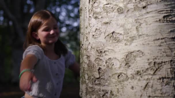 Κοριτσάκι Που Αγκαλιάζει Δέντρο Στο Δάσος Έννοια Περιβαλλοντικής Εκπαίδευσης — Αρχείο Βίντεο