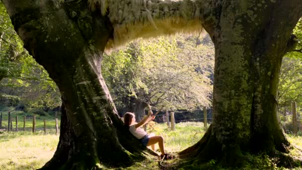 Παιδί Παίζει Μπαστούνια Στο Δάσος Έννοια Της Ανάπτυξης Φαντασίας — Αρχείο Βίντεο