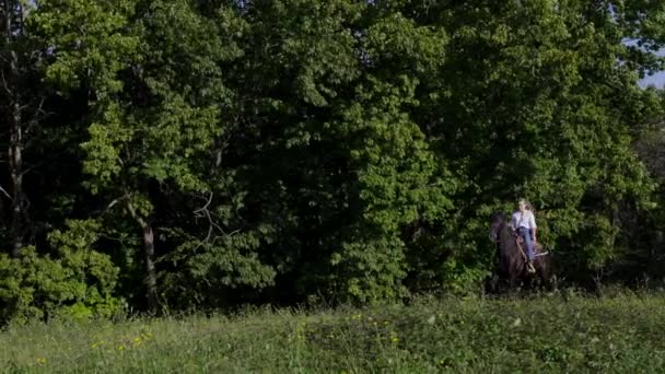 Kvinde Ridning Sort Hest Galop Naturen – Stock-video