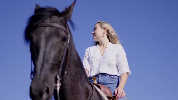 Portret Van Een Jonge Vrouw Een Paard Buiten — Stockvideo