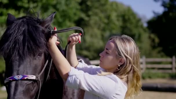 Jonge Vrouw Zetten Een Touw Halster Naar Een Paard Buiten — Stockvideo