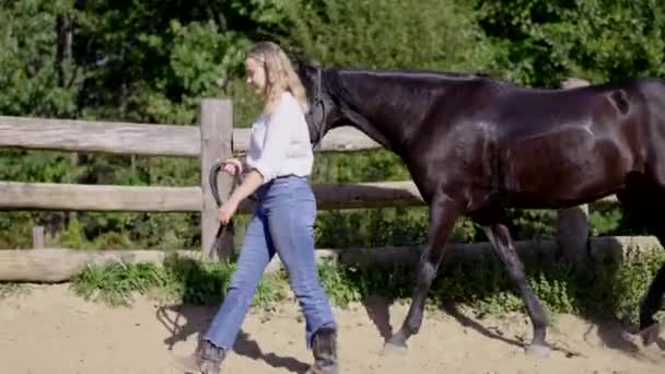牧場で馬と一緒に歩いている若い女性 — ストック動画