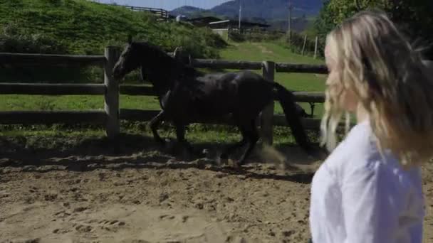 Kvinnan Domesticerar Svart Häst Ranch Penna Cowgirl Träningshäst Inhägnad — Stockvideo