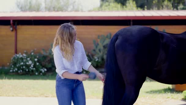 牧場の安定した馬の尾を磨く若い女性 — ストック動画