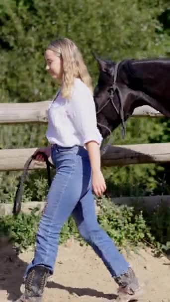 Młoda Kobieta Idzie Przed Konia Koń Treningowy Kowbojki Zagrodzie — Wideo stockowe