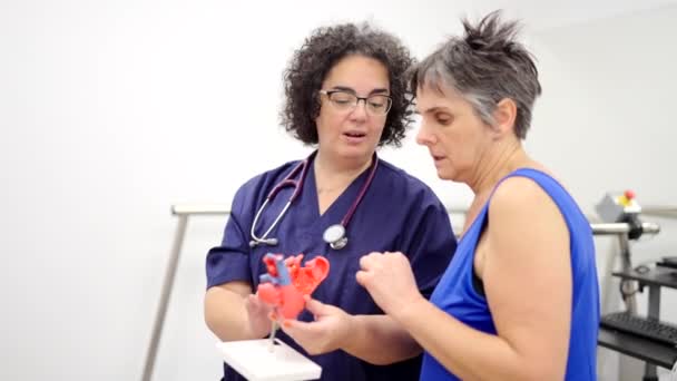 Video Eines Freundlichen Kardiologen Der Einem Patienten Anhand Eines Herzmodells — Stockvideo