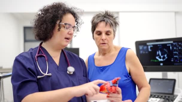 Видео Женщины Кардиолога Использующей Модель Сердца Объяснить Пациенту Процедуру — стоковое видео