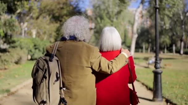 Βίντεο Ενός Ηλικιωμένου Ζευγαριού Που Προσκαλούσε Πάει Βόλτα Στο Πάρκο — Αρχείο Βίντεο