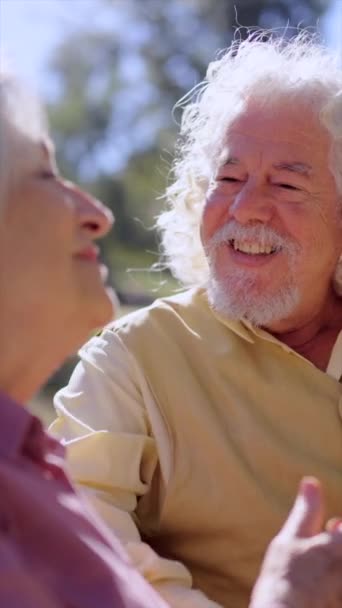 在阳光灿烂的一天 一对温柔的老夫妇手牵手坐在公园的长椅上的视频 — 图库视频影像