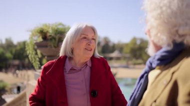 Şehir parkında güneşin altında konuşan sakin yaşlı çiftin videosu.