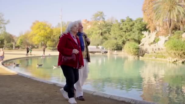 Video Una Coppia Anziani Che Cammina Insieme Margini Lago Artificiale — Video Stock