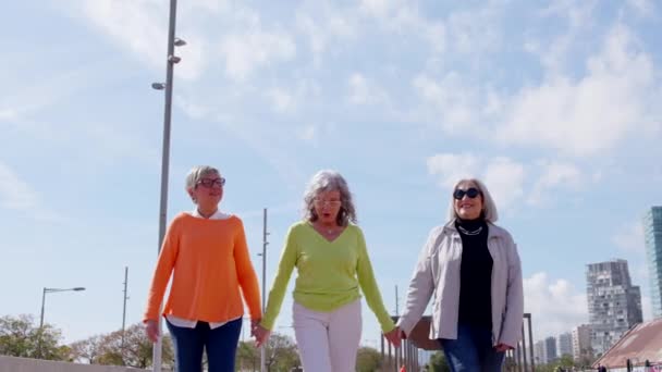 Positive Senior Women Holding Hands Raising Arms Together — Stock Video